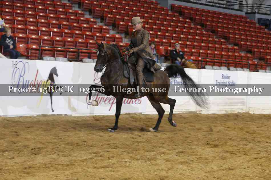 Proof 15BUCK_03276