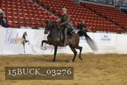 15BUCK_03276 proof
