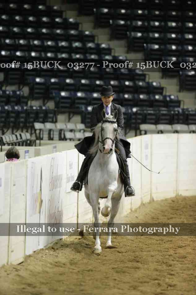 Proof 15BUCK_03277