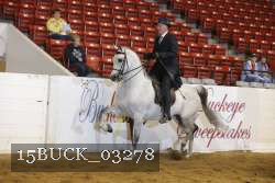15BUCK_03278 proof