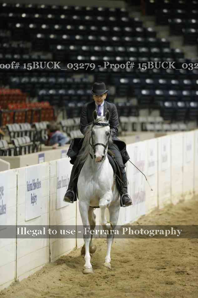 Proof 15BUCK_03279