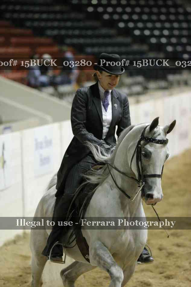 Proof 15BUCK_03280