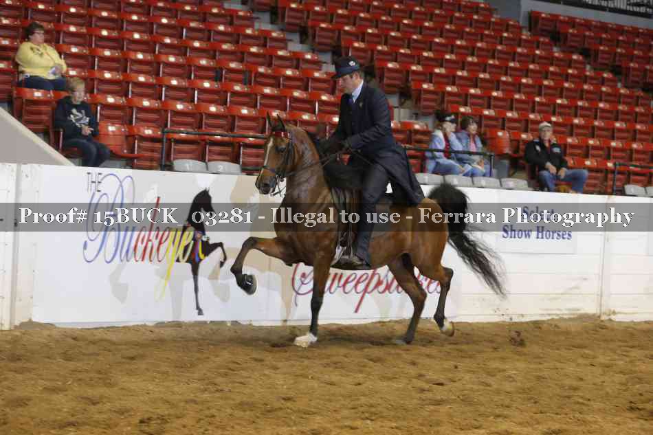 Proof 15BUCK_03281