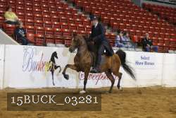 15BUCK_03281 proof