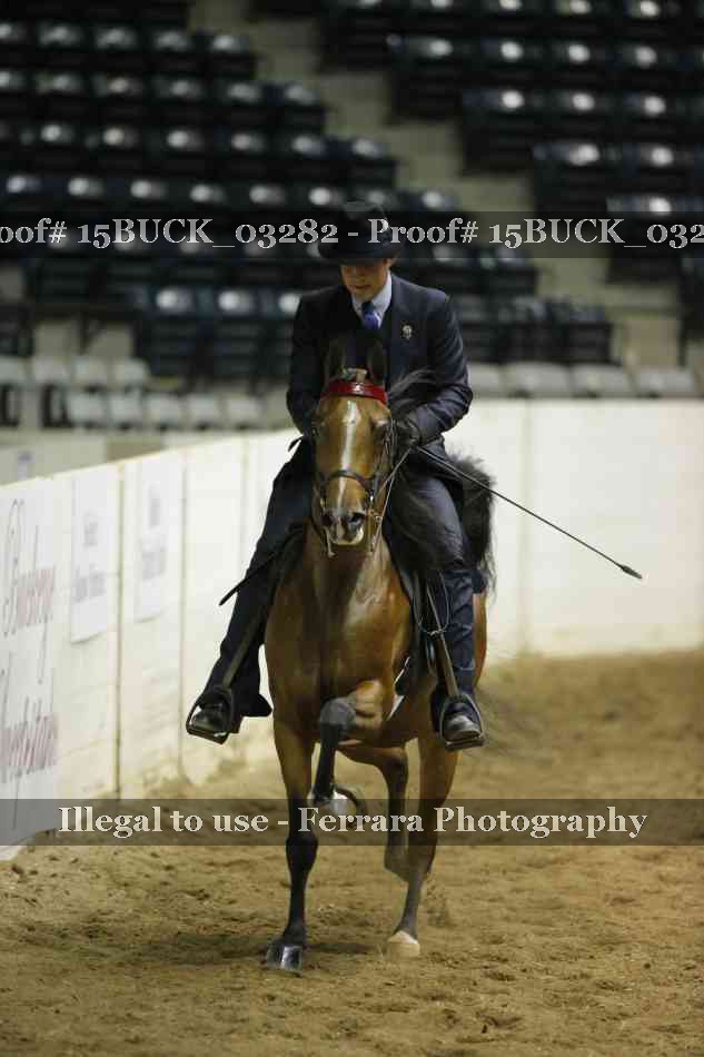 Proof 15BUCK_03282