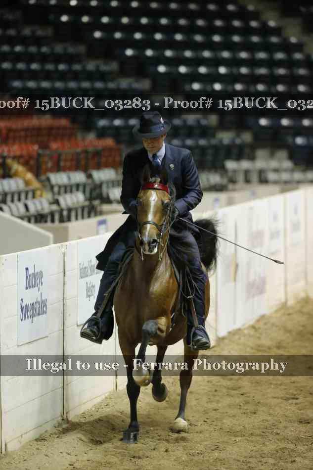 Proof 15BUCK_03283