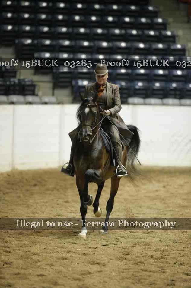 Proof 15BUCK_03285