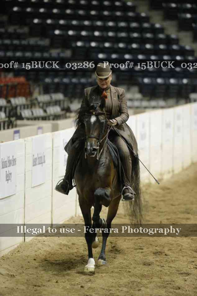Proof 15BUCK_03286
