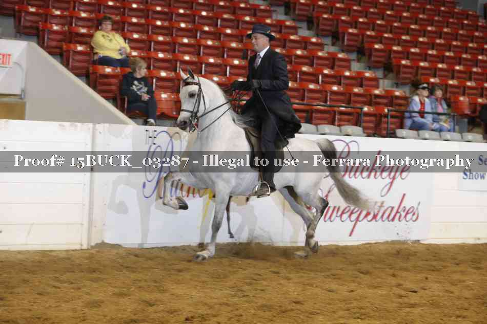 Proof 15BUCK_03287
