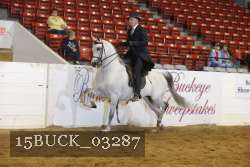 15BUCK_03287 proof