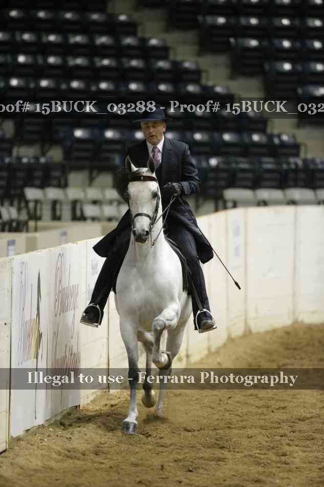 Proof 15BUCK_03288