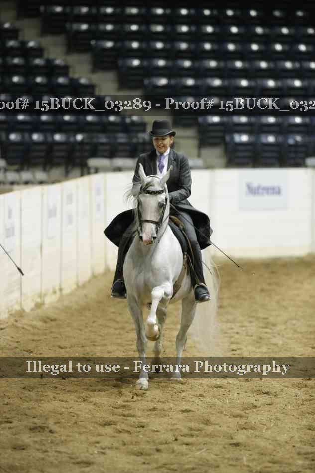 Proof 15BUCK_03289