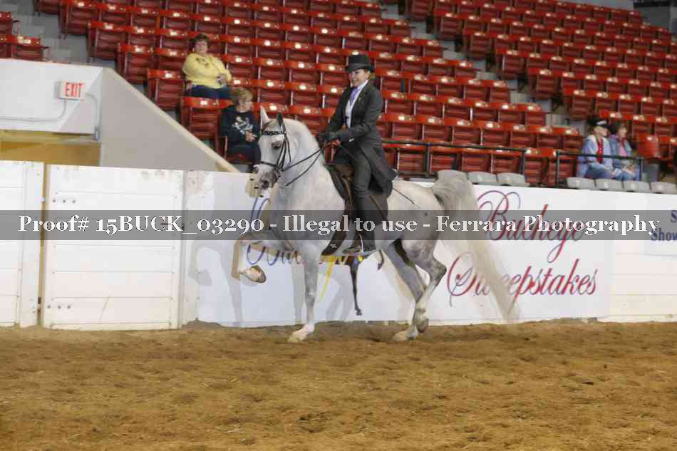 Proof 15BUCK_03290