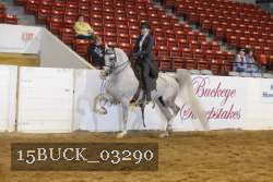 15BUCK_03290 proof