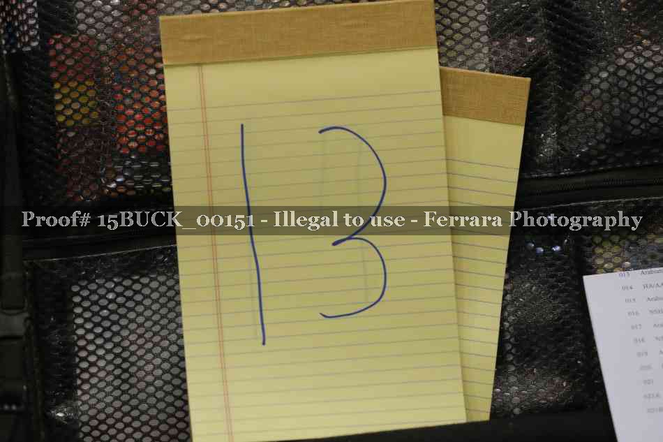 Proof 15BUCK_00151