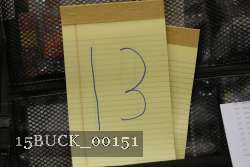 15BUCK_00151 proof