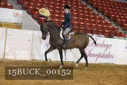 15BUCK_00152 proof
