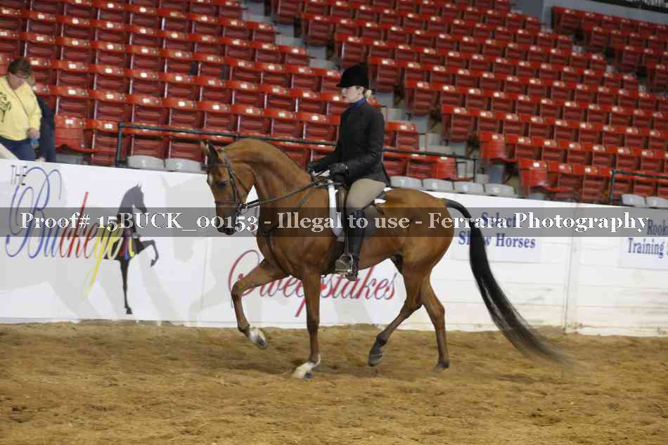 Proof 15BUCK_00153