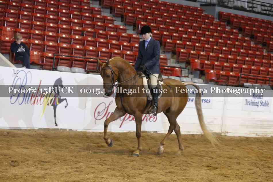 Proof 15BUCK_00154