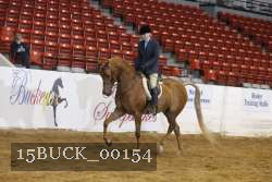 15BUCK_00154 proof