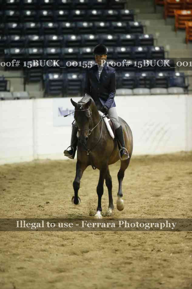 Proof 15BUCK_00155