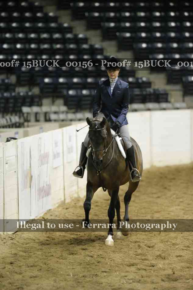 Proof 15BUCK_00156