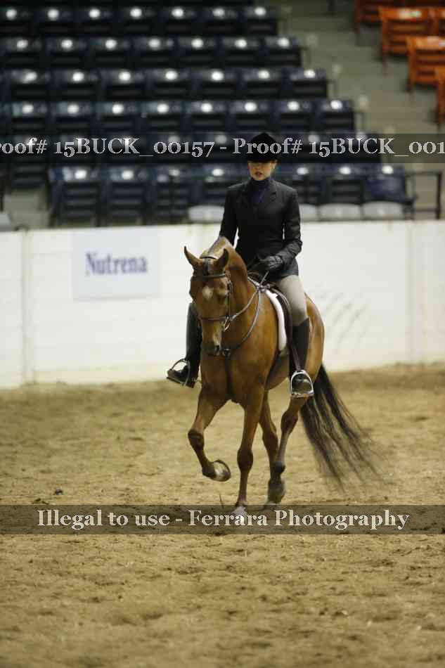 Proof 15BUCK_00157