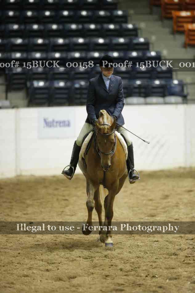 Proof 15BUCK_00158