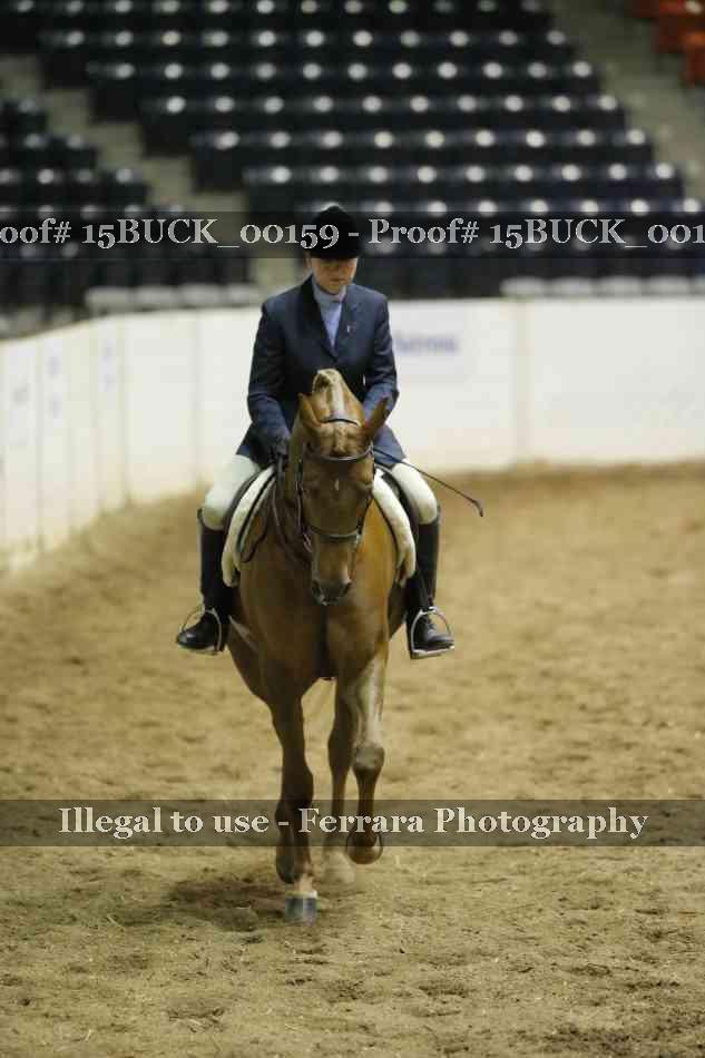 Proof 15BUCK_00159