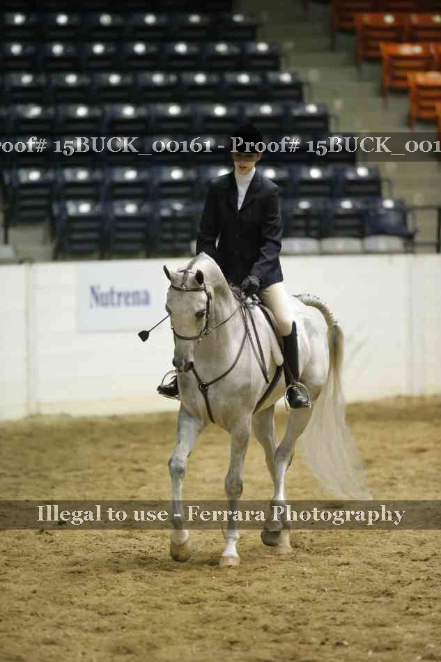 Proof 15BUCK_00161