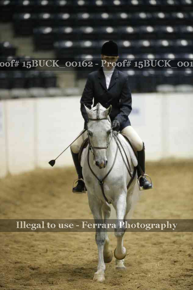 Proof 15BUCK_00162