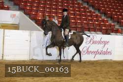 15BUCK_00163 proof