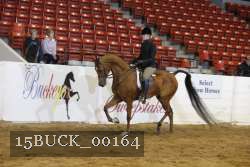 15BUCK_00164 proof