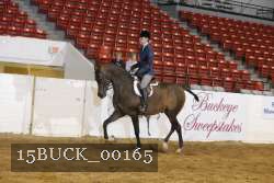 15BUCK_00165 proof