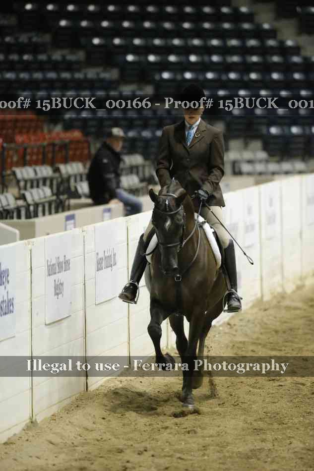 Proof 15BUCK_00166