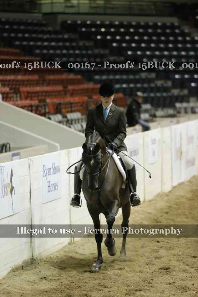 Proof 15BUCK_00167