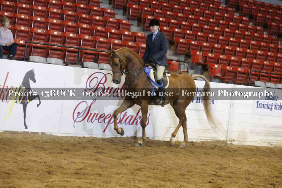 Proof 15BUCK_00168