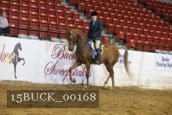 15BUCK_00168 proof