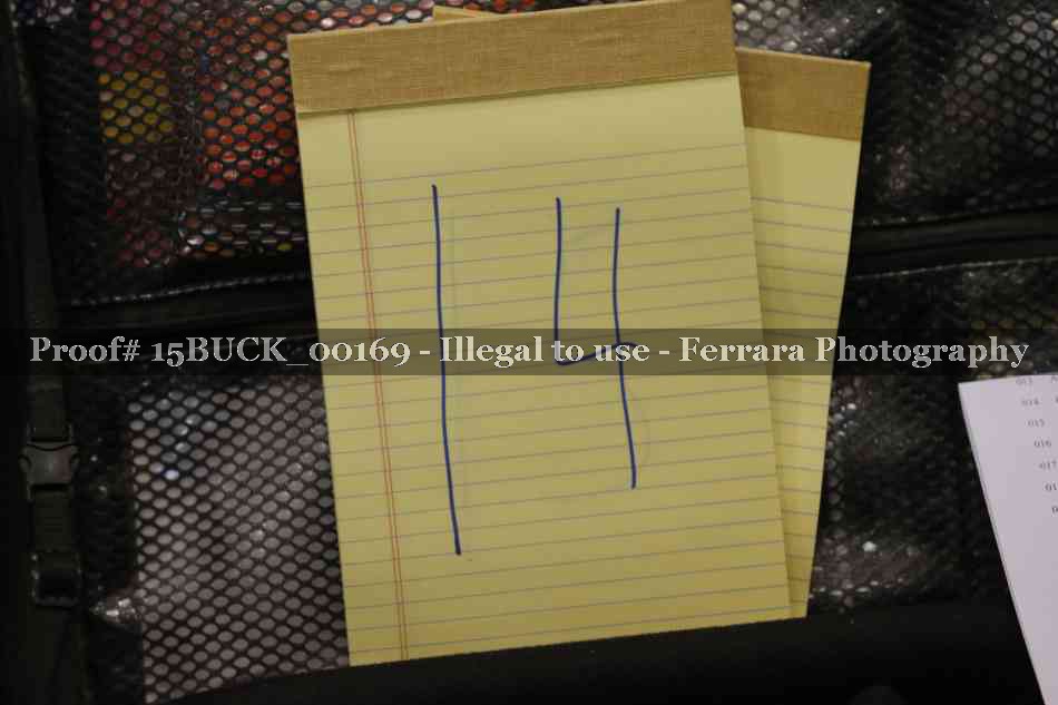 Proof 15BUCK_00169