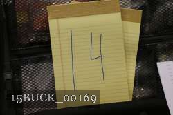 15BUCK_00169 proof