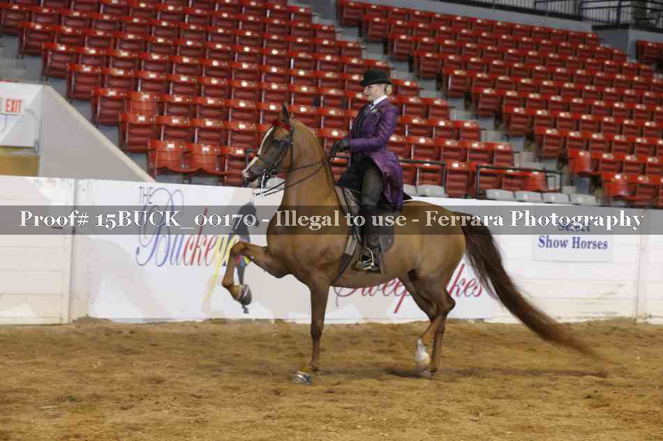 Proof 15BUCK_00170