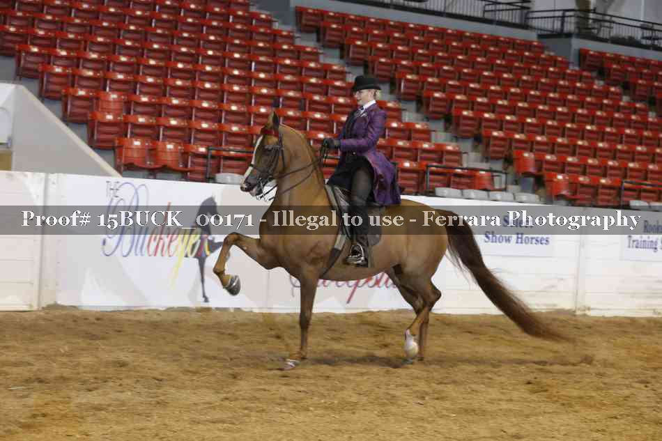 Proof 15BUCK_00171