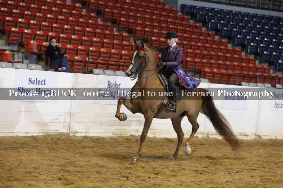 Proof 15BUCK_00172