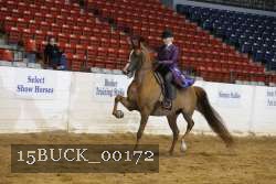 15BUCK_00172 proof