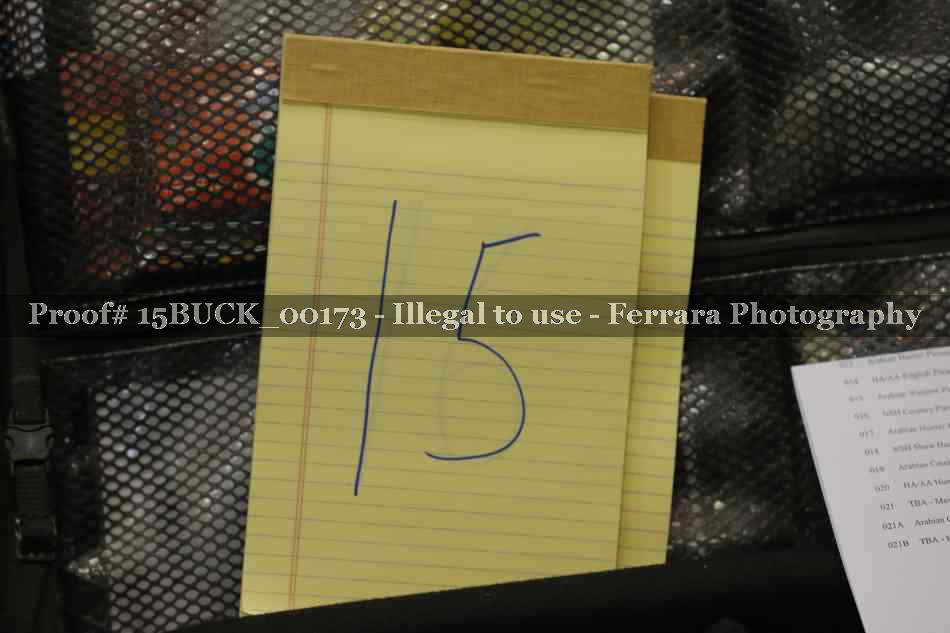 Proof 15BUCK_00173