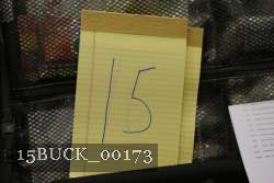 15BUCK_00173 proof
