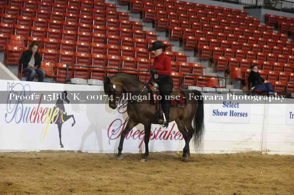 Proof 15BUCK_00174