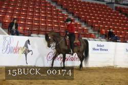 15BUCK_00174 proof