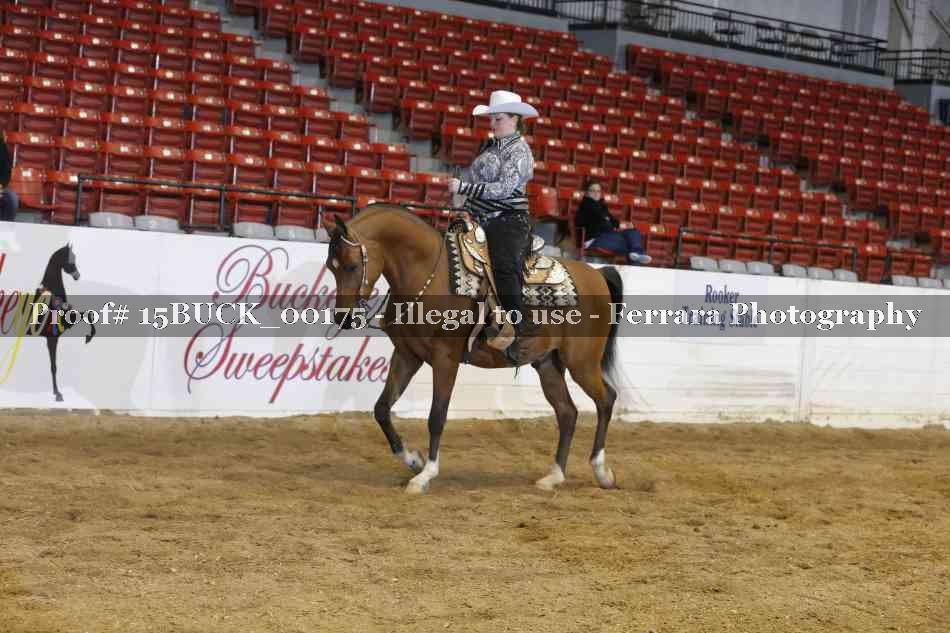 Proof 15BUCK_00175