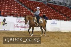 15BUCK_00175 proof